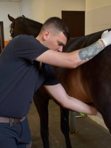 Уже завтра GetVet отправляется в путь! 🚑🦄 ❗️ Напоминаем,