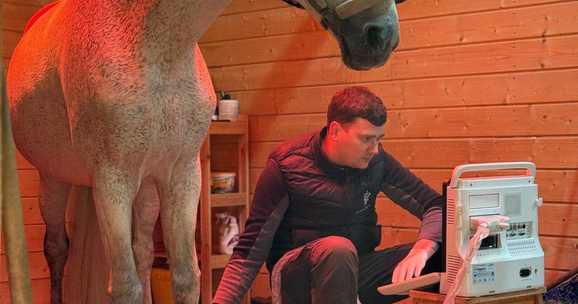 ⚠️ Внимание, 18 — 19 сентября команда GetVet работает в по м