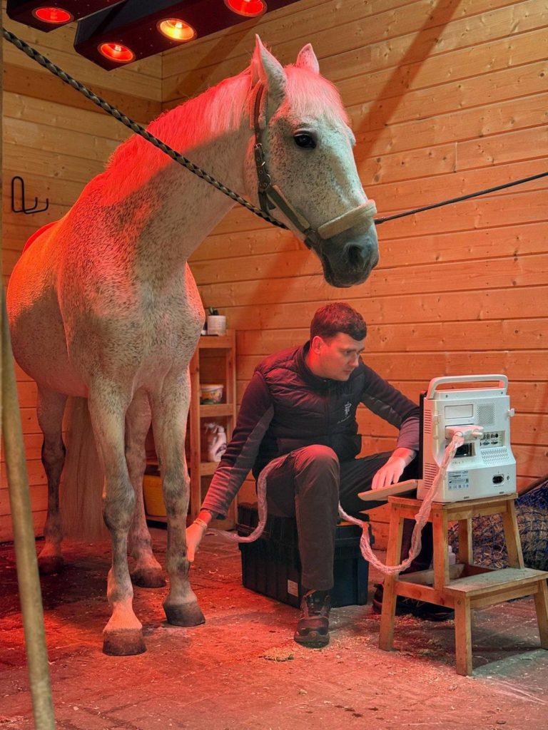 ⚠️ Внимание, 18 — 19 сентября команда GetVet работает в по м